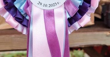 367356984_1074186213603488_872054683333938189_n (1).jpg